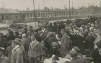 AUSCHWITZ - BIRKENAU 1940 -1945. Campo di concentramento e centro di messa a morte