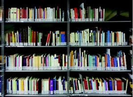 Il bibliotecario segnala